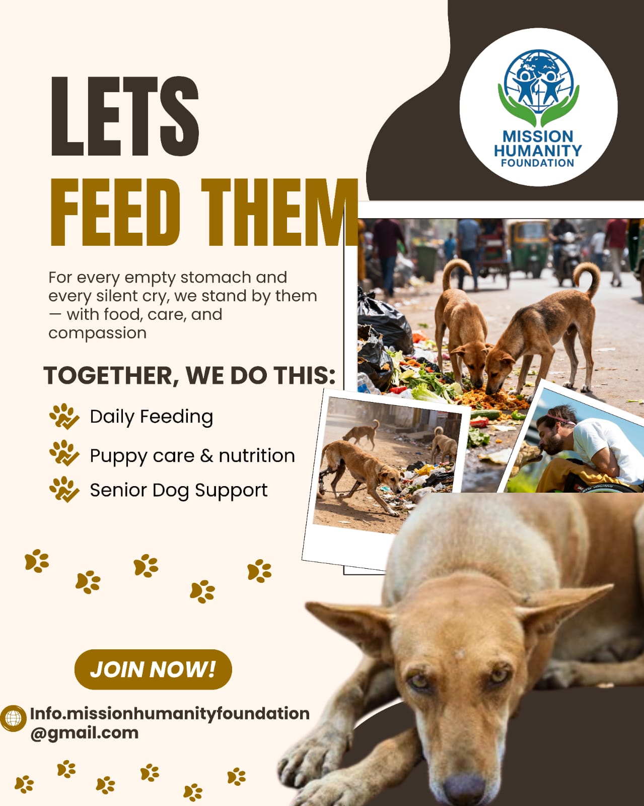 Feed the Hungry, Spread Humanity